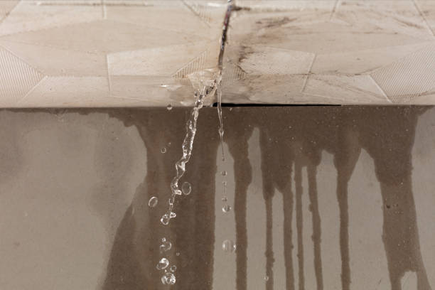 Professional Structural Drying technician working in Allyn, WA